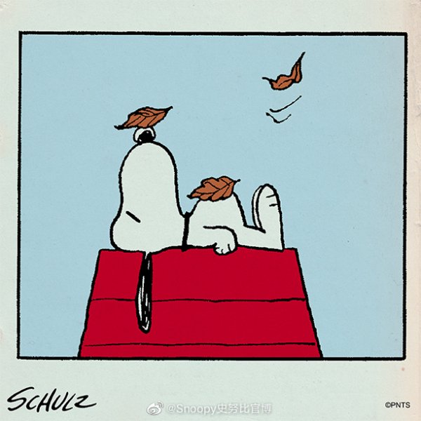 天盈配资 70年经典“花生”再出发，史努比能赢得新一代观众吗