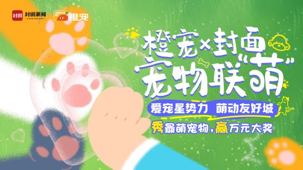 冠盈配资 封面宠物联“萌” 来看四组“毛孩子”家庭的暖心故事