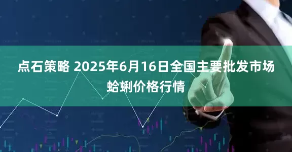 点石策略 2025年6月16日全国主要批发市场蛤蜊价格行情