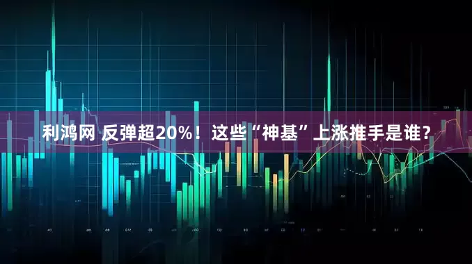 利鸿网 反弹超20%！这些“神基”上涨推手是谁？